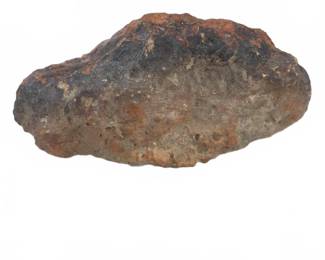 	Polished Coprolite Fossilized Dinosaur Dung
