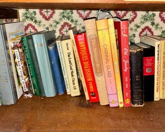 Assorted Paperback Books Lot