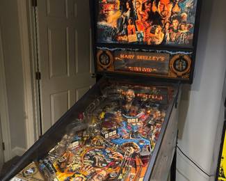 mary shelley frankenstein pinball machine, works great