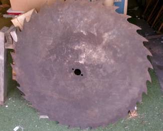 BUZZ SAW BLADE
