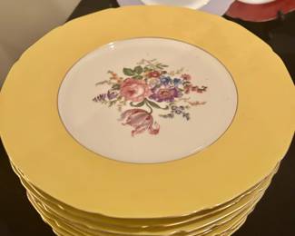 Czechoslovakian Porcelain Dinner Plates