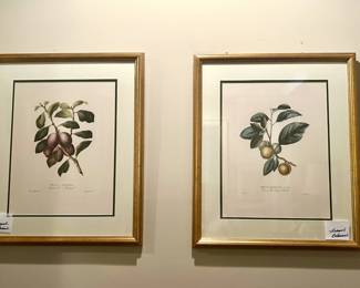 Botanicals