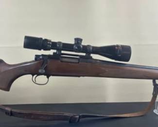 Remington 700 .243