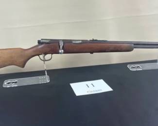 Stevens .22LR