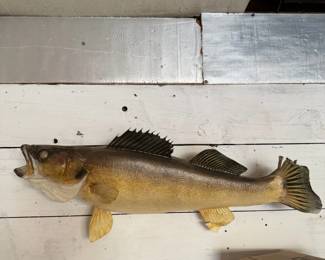Large Walleye Fish Wall Mount - Taxidermy Style Fishing Cabin & Lodge Decor