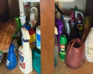 Assorted Household Cleaning Supplies, Sprays, Towels & Watering Can