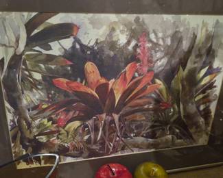 Alan Campbell Water Color Fine Art Print - “Barva Bromeliad”