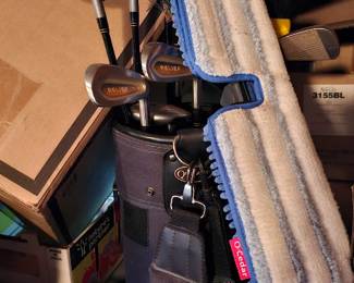 golf clubs and case