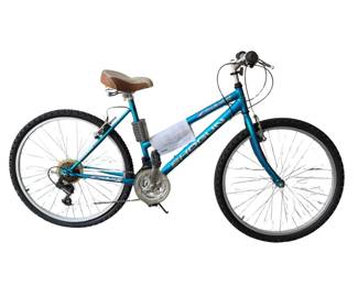 Kent Shogun Trail Blaster Women's Mountain Bike