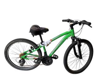 Schwinn Ranger 24" Youth Mountain Green Bike