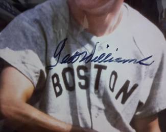 Ted Williams
