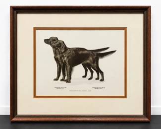 Champion Drug Law  PatABelle AKC Dog Print  Otto Pohl Fremont Nebraska Framed