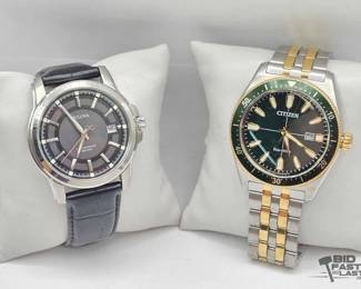 1102  Bulova and Citizen EcoDrive Mens Watches  TwoWatch Lot