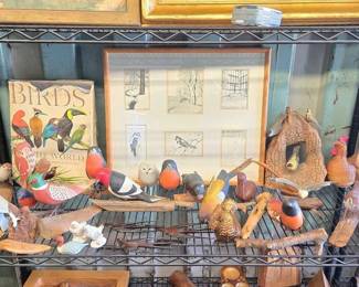 3518  Bird Decor Collection Birds of the World Book, Bird Figures  Framed Drawings