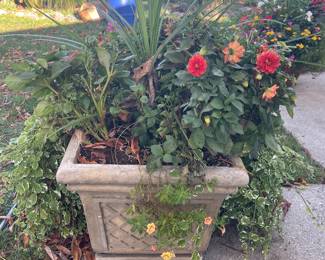 2 Fiber Glass Planters with Flowers $40 each