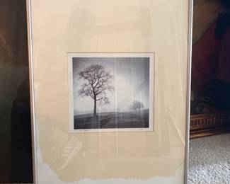 Richard Calvo 'In Just Spring' Framed Print