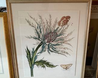Wendover Art Group Botanical Print with Butterfly