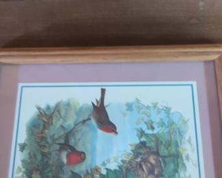 Vintage Framed European Robin Print second image