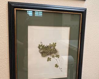Set of Three Framed Botanical Prints by Mary Vaux Walcott third image