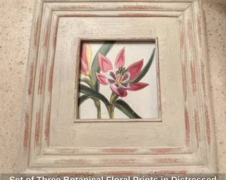 Set of Three Botanical Floral Prints in Distressed Frames