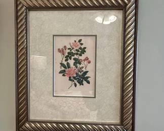 PierreJoseph Redout Rose Botanical Prints