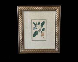 Sprague  Armstrong  Co. Small Magnolia Lithograph
