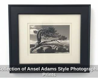 Collection of Ansel Adams Style Photographic Prints second image