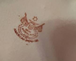 American China Co. SemiPorcelain Violet Tea Set third image