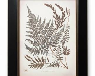 New York Botanical Garden Fern Prints, Set of third image