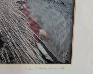 Paul Malinowski Spear Fishing on the South Platte Photographic Print third image
