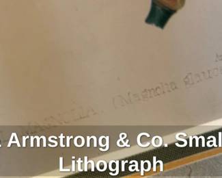 Sprague  Armstrong  Co. Small Magnolia Lithograph second image
