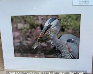 Paul Malinowski Spear Fishing on the South Platte Photographic Print
