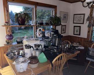 Kitchen appliances , Plants & Pots , Watercolor Paintings by Clarence Say , Kitchen Table and Chairs