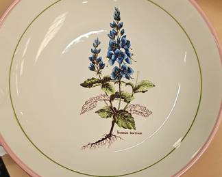 Villeroy Boch Botanica Botanical Plates Set of