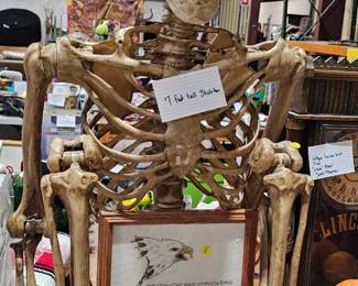 HALLOWEEEN SKELTON