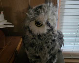 Owl