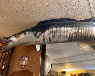 Large Vintage Wahoo Fish 