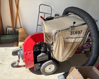 Large Toro Leaf vac