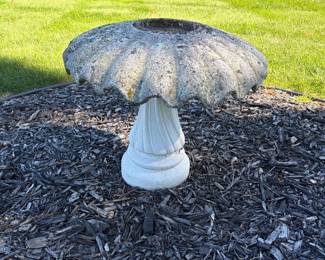 Bird Bath