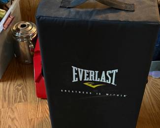 Everlast large kick/strike shield, torso-size rectangular training pad. For kicking and striking practice (MMA, Muay Thai, karate, taekwondo, boxing). Minimal use.