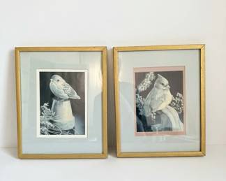Vintage Framed Bird Print Pair
