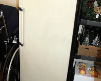 Small Upright Freezer