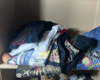 Lot 244: Assorted Embellished Women's Tops and Denim Garment