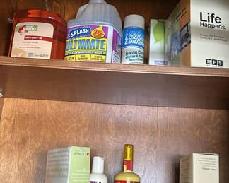 Lot 17: Cleaning Supplies, Household Items, and Decorative Plants