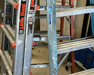 Lot 16: Little Giant and Werner Ladders