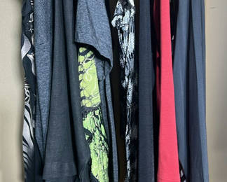 Lot 237: Assorted Women's Tops and Long Sleeve Shirts
