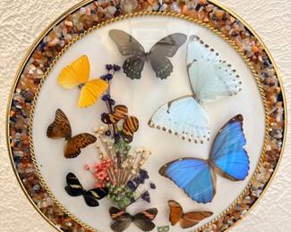 181 MCBrazilianRealButterflyTaxidermyBubbleGlassDomeDiorama