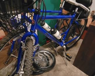 Schwinn his and her bikes. 
