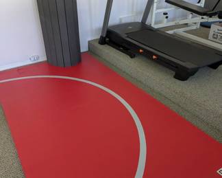 Two wrestling mats 60" X 118"
