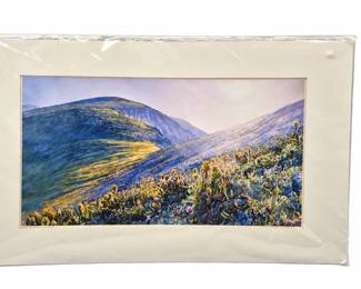 Matted landscape artwork on white